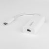 Rocstor Y10A241-W1 DisplayPort cable USB C Mini DisplayPort White4