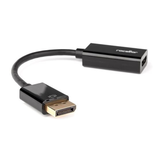 Rocstor Y10A232-B1 video cable adapter DisplayPort HDMI1