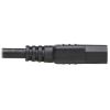 Tripp Lite P006AB-C08-HG power cable Black 96.1" (2.44 m) NEMA 5-15P C13 coupler5