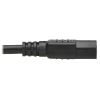 Tripp Lite P006AB-006-HG power cable Black 72" (1.83 m) NEMA 5-15P C13 coupler5