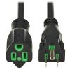 Tripp Lite P022AB-010-HG power cable Black 120.1" (3.05 m) NEMA 5-15P NEMA 5-15R1