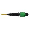 Tripp Lite N390B-01M-12-AP fiber optic cable 39.4" (1 m) MPO/MTP OFNR OS2 Black, Yellow4