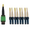 Tripp Lite N390X-01M-8L-AP fiber optic cable 39.4" (1 m) MPO/MTP 4x LC OFNR OS2 Black, Blue, Green, Yellow1