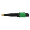 Tripp Lite N390X-01M-8L-AP fiber optic cable 39.4" (1 m) MPO/MTP 4x LC OFNR OS2 Black, Blue, Green, Yellow5