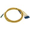 Tripp Lite N390X-05M-8L-AP fiber optic cable 196.9" (5 m) MPO/MTP 4x LC OFNR OS2 Green, Black, Blue, Yellow2