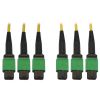 Tripp Lite N392B-10M-3X8AP fiber optic cable 393.7" (10 m) 3x MTP/MPO OS2 Black, Green, Yellow1