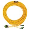 Tripp Lite N392B-61M-3X8AP fiber optic cable 2401.6" (61 m) 3x MTP/MPO OS2 Black, Green, Yellow3