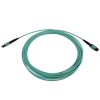 Tripp Lite N842B-05M-12-MF fiber optic cable 196.9" (5 m) MPO/MTP OFNR OM3 Aqua color, Black2