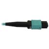 Tripp Lite N842B-05M-12-MF fiber optic cable 196.9" (5 m) MPO/MTP OFNR OM3 Aqua color, Black4