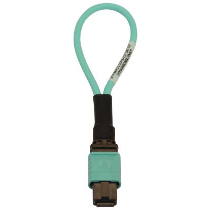 Tripp Lite N844B-LOOP-12F fiber optic cable 3.94" (0.1 m) MPO/MTP OFNR OM3 Aqua color, Black1