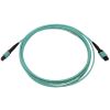 Tripp Lite N844B-03M-12-P fiber optic cable 118.1" (3 m) MPO/MTP OFNR OM3 Aqua color, Black2