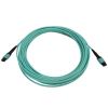 Tripp Lite N844B-10M-12-P fiber optic cable 393.7" (10 m) MPO/MTP OFNR OM3 Aqua color, Black2