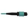 Tripp Lite N844X-01M-8L-P fiber optic cable 39.4" (1 m) MPO/MTP 4x LC OFNR OM3 Aqua color, Black5