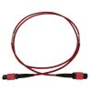 Tripp Lite N845B-01M-12-MG fiber optic cable 39.4" (1 m) MPO/MTP OFNR OM4 Black, Magenta2