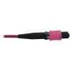 Tripp Lite N845X-01M-8L-MG fiber optic cable 39.4" (1 m) MPO/MTP 4x LC OFNR OM4 Aqua color, Black, Magenta4