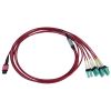 Tripp Lite N845X-02M-8L-MG fiber optic cable 78.7" (2 m) MPO/MTP 4x LC OFNR OM4 Aqua color, Black, Magenta2