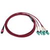 Tripp Lite N845X-03M-8L-MG fiber optic cable 118.1" (3 m) MPO/MTP 4x LC OFNR OM4 Aqua color, Black, Magenta2