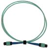 Tripp Lite N846B-01M-24-P fiber optic cable 39.4" (1 m) MPO/MTP OFNR OM3 Aqua color, Black, Blue2