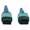 Tripp Lite N846B-01M-24-P fiber optic cable 39.4" (1 m) MPO/MTP OFNR OM3 Aqua color, Black, Blue3