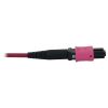 Tripp Lite N858B-10M-3X8MG fiber optic cable 393.7" (10 m) 3x MTP/MPO OFNR OM4 Black, Magenta4