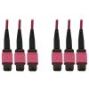 Tripp Lite N858B-15M-3X8MG fiber optic cable 590.6" (15 m) 3x MTP/MPO OFNR OM4 Black, Magenta1