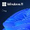 Microsoft Windows 11 Pro 1 license(s)1